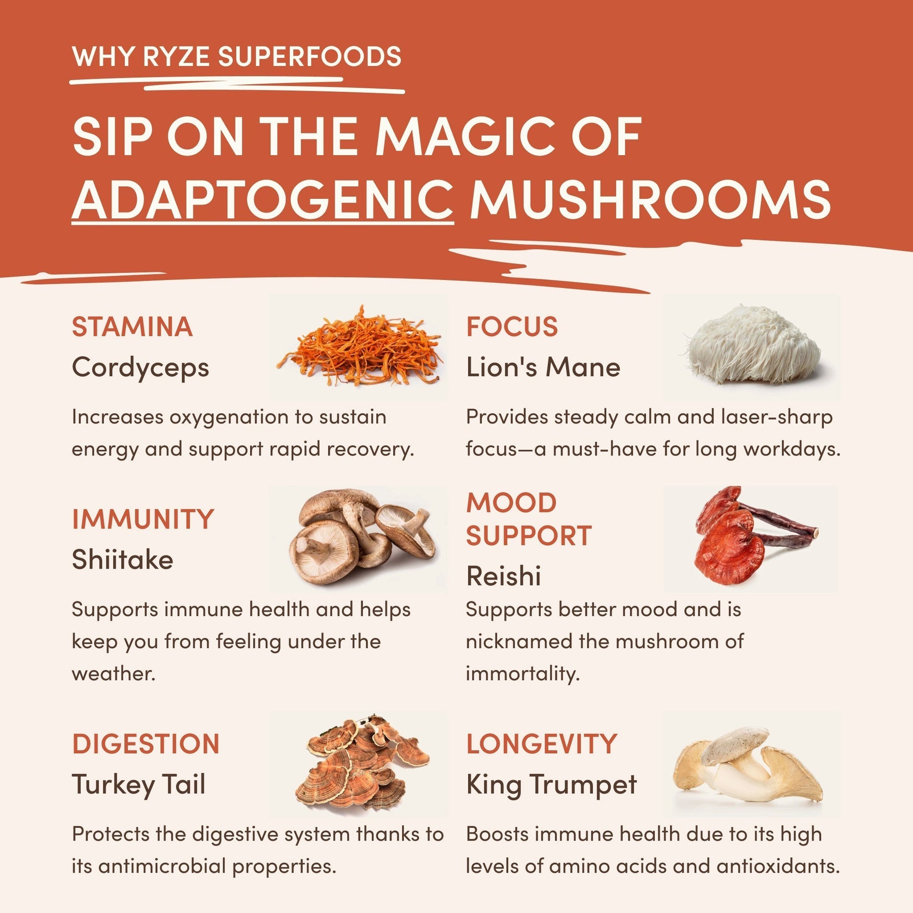 Vanilla Creamer 3-Pack